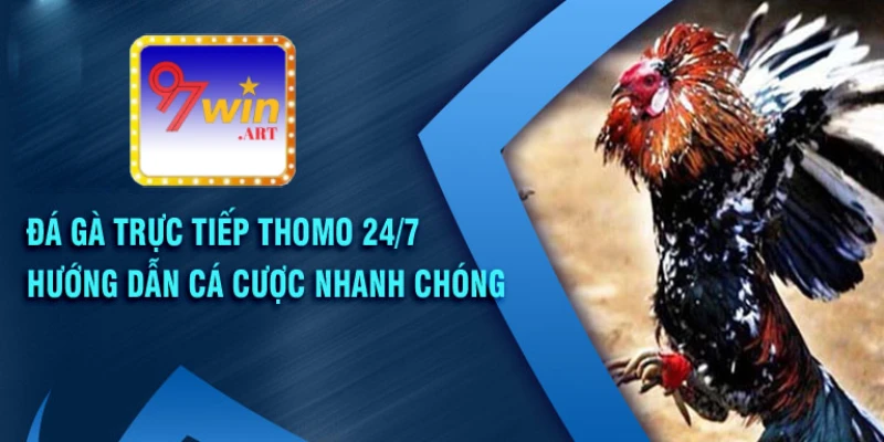 Đá gà trực tiếp thomo