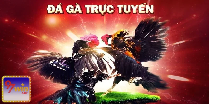 Đá gà trực tuyến